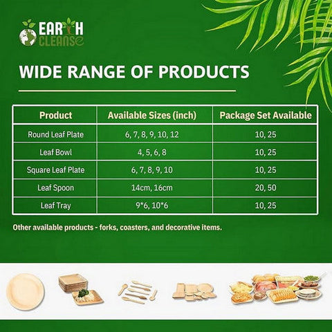 Earth Cleanse, Square Bagasse Bowls Premium, 1000 Pack (180 Ml / 6 Oz)