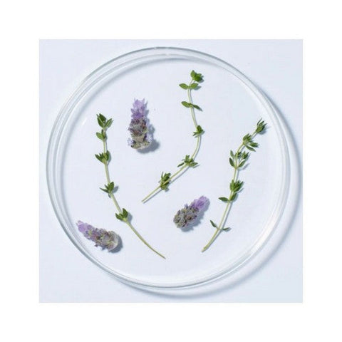 Andalou Naturals, Lavender Shea Firming Body Butter, 8 Oz Andalou Naturals